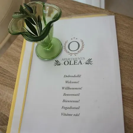 Olea *